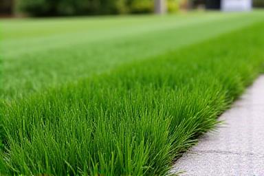 Professional lawn mowing and edging service in North Palm Beach